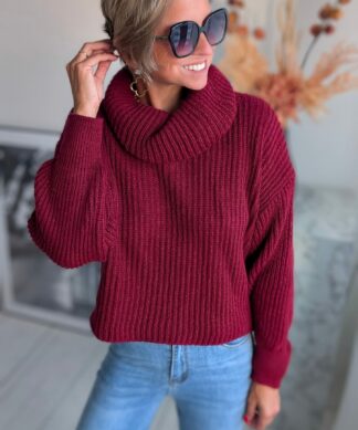 kurzer Rollkragenpullover Turtleneck – versch. Farben